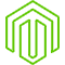 Magento Developer